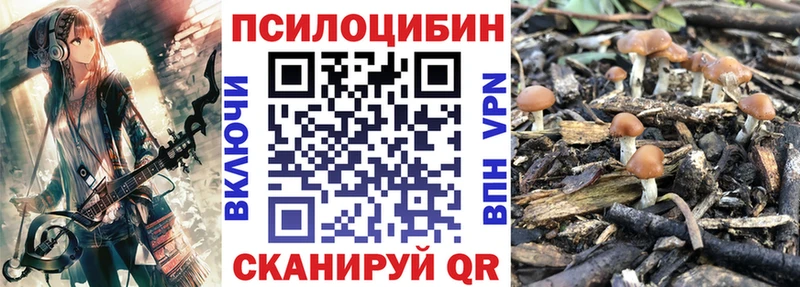 Купить где  Новомичуринск  Галлюциногенные грибы MAGIC MUSHROOMS 