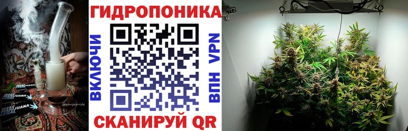 Купить где Новомичуринск Каннабис OG Kush